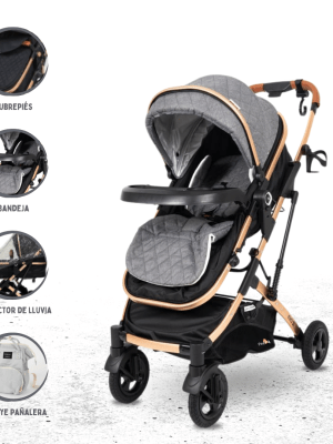 Coche Deportivo Moisés BABY CRAFT «EVO» Gray