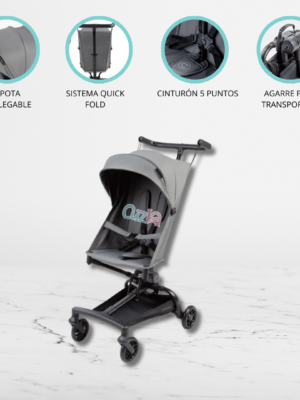 Coche Maleta para Bebés «BUGGY» Gris Lobo